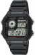 CASIO  AE-1200WH-1AVEF