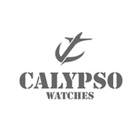 Reloj Calypso Hombre K5334/C